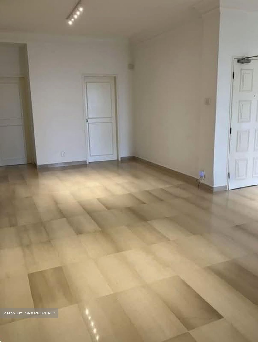 Tanglin Park (D10), Condominium #575735301